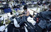Mexico đánh giá Việt Nam là thị trường tiềm năng trong CPTPP