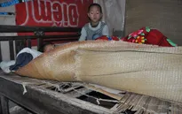 Nghẹn lòng cậu bé lớp 3 chăm mẹ câm điếc, bệnh tật trong căn nhà nát