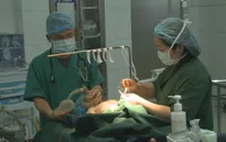 Trái tim cho em: Cơ hội tái sinh cho bệnh nhi tim bẩm sinh 2 tuổi