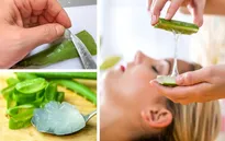 8 cách sử dụng nha đam hiệu quả nhất