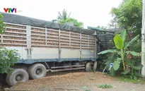 Quảng Trị: Xe container chở gỗ dăm mất lái lao vào nhà dân bên đường