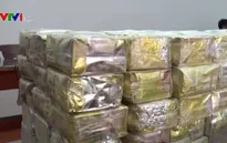 “TP.HCM có nguy cơ trở thành điểm trung chuyển ma túy”