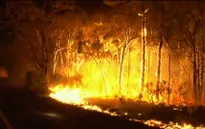 Nỗ lực dập cháy rừng tại Australia