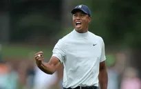 Những pha giải cứu bóng khó kinh điển của Tiger Woods