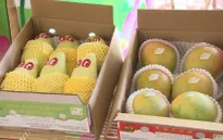Việt Nam có 6 loại trái cây được phép xuất khẩu vào Mỹ