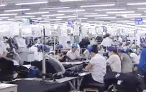 Hơn 30% lao động nước ngoài ở Việt Nam chưa được đóng BHXH bắt buộc