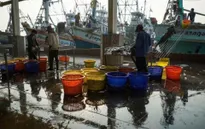 Thẻ vàng EU và cách giải quyết của các quốc gia ASEAN