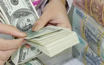 Tỷ giá trong nước giảm nhẹ sau quyết định cắt giảm lãi suất của FED