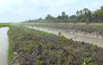 Nông dân đầu tư điện mặt trời để tưới vườn