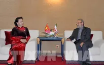 Việt Nam luôn coi trọng quan hệ hữu nghị và hợp tác với Iran