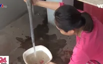 Nước sạch có thật sự… sạch?