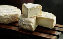 Đức thu hồi pho mát của Pháp do lo ngại khuẩn E.coli