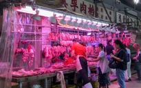 Bùng phát dịch tả lợn châu Phi ở Hong Kong, Trung Quốc