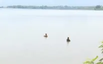Kỹ năng phòng tránh đuối nước