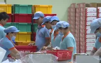 Doanh nghiệp xuất khẩu Việt tìm cách ứng phó trước xu hướng đồng Nhân dân tệ giảm giá