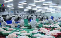 Đồng Nhân dân tệ mất giá ảnh hưởng xuất khẩu thủy sản