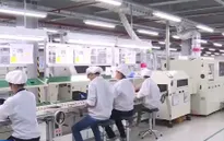 Nhà máy tập đoàn đa quốc gia ồ ạt tuyển nhân sự
