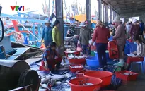 Thành lập Ban Chỉ đạo Quốc gia về chống khai thác hải sản bất hợp pháp