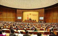Đại biểu Quốc hội: Cần quy định đủ mạnh để phòng chống tác hại của rượu, bia