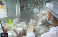 Nông nghiệp công nghệ cao - Lĩnh vực “nóng” thu hút vốn đầu tư