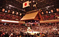 Giới Sumo Nhật Bản chuẩn bị đón Tổng thống Mỹ