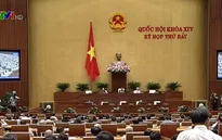 Cần tiếp tục nghiên cứu các quy định trong Dự án Luật Phòng chống tác hại của rượu, bia để đảm bảo tính khả thi