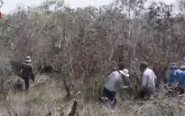 Người dân ngang nhiên vào khu bảo tồn chặt phá cây rừng