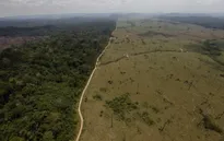 Hơn 900.000ha rừng Amazon bị mất trong 30 năm