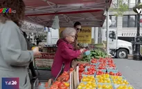 Cắt giảm chất béo làm giảm nguy cơ tử vong vì ung thư vú