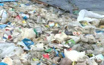 Nhật Bản hướng tới thỏa thuận xóa bỏ rác thải nhựa năm 2050