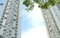 Phạt chủ đầu tư chung cư chưa nghiệm thu đã bàn giao