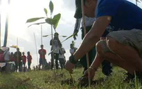 Muốn tốt nghiệp, mỗi học sinh Philippines phải trồng 10 cây xanh