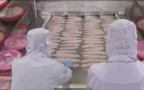 Tác động thị trường cá tra khi Mỹ tăng thuế chống bán phá giá