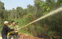 Rừng tràm U Minh Hạ ở mức báo động cháy cao nhất