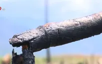 Mía cháy giữa mùa nắng nóng: Nguy cơ “vụ mía đắng” đối với nông dân