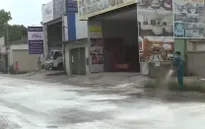 TP.HCM: Triển khai nhiều biện pháp kiểm soát dịch tả lợn châu Phi