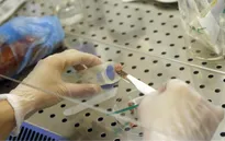 Nhật Bản đẩy mạnh nghiên cứu sản xuất thịt bò nhân tạo