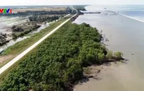 Nỗ lực ứng phó sạt lở bờ sông, bờ biển ở ĐBSCL