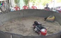 Bắt quả tang nhiều vụ đánh bạc tại Phú Yên