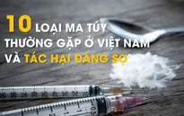 [Infographic] 10 loại ma túy thường gặp ở Việt Nam và tác hại đáng sợ