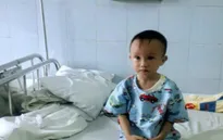 Không có 100 triệu đồng mổ tim, bệnh nhi 3 tuổi nằm nhà nguy kịch