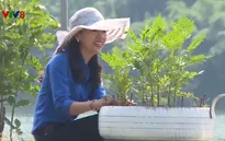 Đổi thay diện mạo làng quê từ phong trào “Ngày chủ nhật xanh”