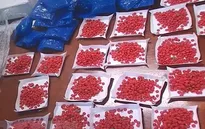 Giấu ma túy trong ghế ngồi xe khách từ Lào về Việt Nam tiêu thụ