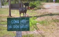Thanh tra Chính phủ công bố sai phạm dự án Safari