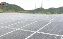 Nhà máy điện mặt trời đầu tiên ở Phú Yên đi vào hoạt động