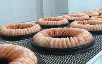 EVFTA mở cơ hội xuất khẩu thủy sản vào châu Âu