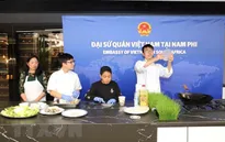 Việt Nam đóng góp tích cực vào thành công của ASEAN Festival Day ở Nam Phi
