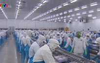Hiệp định EVFTA và EVIPA: Cơ hội “vàng” để DN Việt bứt phá