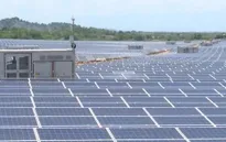 Hơn 4.460 MW điện mặt trời đã hòa lưới điện quốc gia