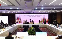 Cuộc họp trù bị của ASEAN cho AMM-52 và các Hội nghị Bộ trưởng liên quan